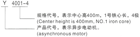 西安泰富西玛Y系列(H355-1000)高压马湾镇三相异步电机型号说明