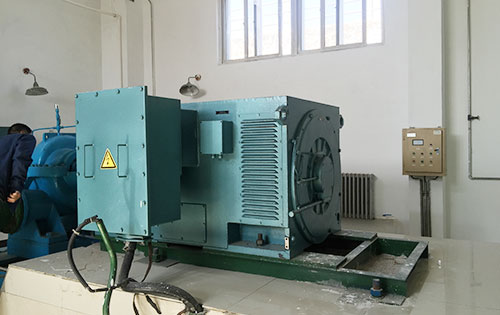 马湾镇某水电站工程主水泵使用我公司高压电机